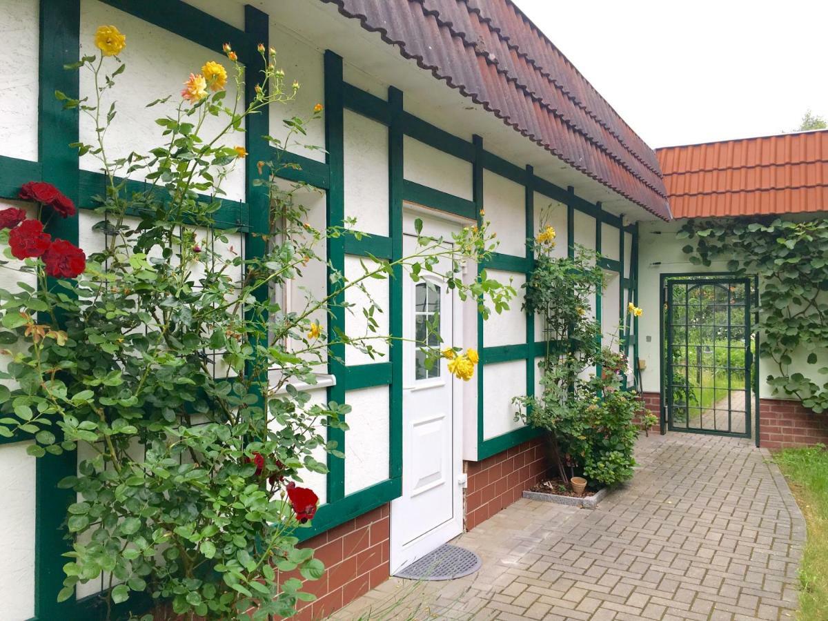 Pension Im Gruenen Эберсвальде-Финов Экстерьер фото
